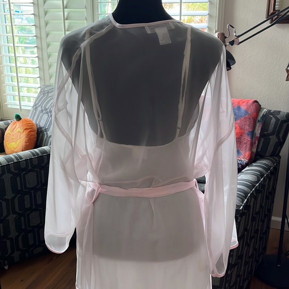 Vintage Soft Pink Sheer Robe - Picture 6 of 8